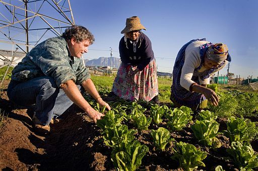 African agriculture must rebrand to reel in youth