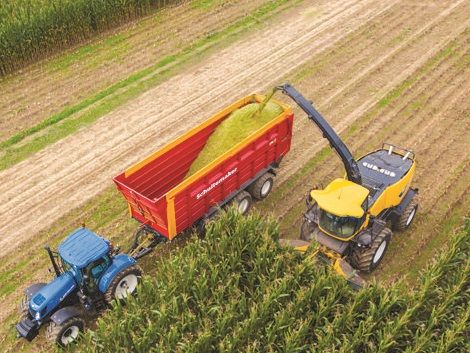 Agriculture Business