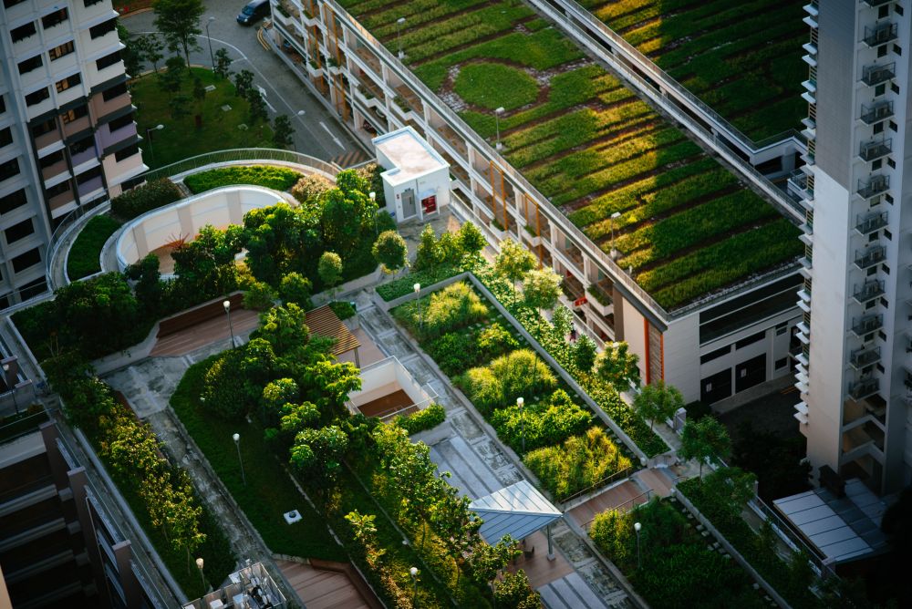 Sustainable Urban Infrastructure: Green Buildings and Liveable Cities