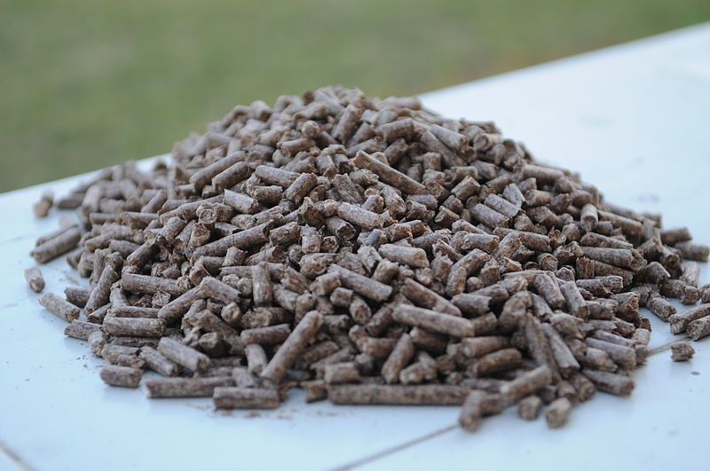 Biomass pellets from India