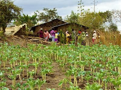 Kenya Ag Carbon Project