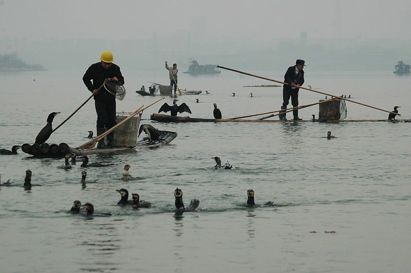 Poyang Lake, East China. Human activity and climate change have endangered global water sources.