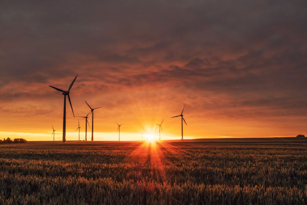 EY announces ambition to be net zero by 2025 Climate Action