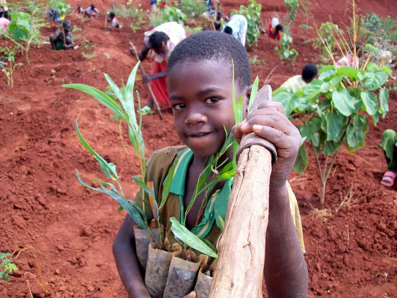 Ethiopia's green strategy will include soil and development work, potentially cutting carbon emissions by 50 per cent.