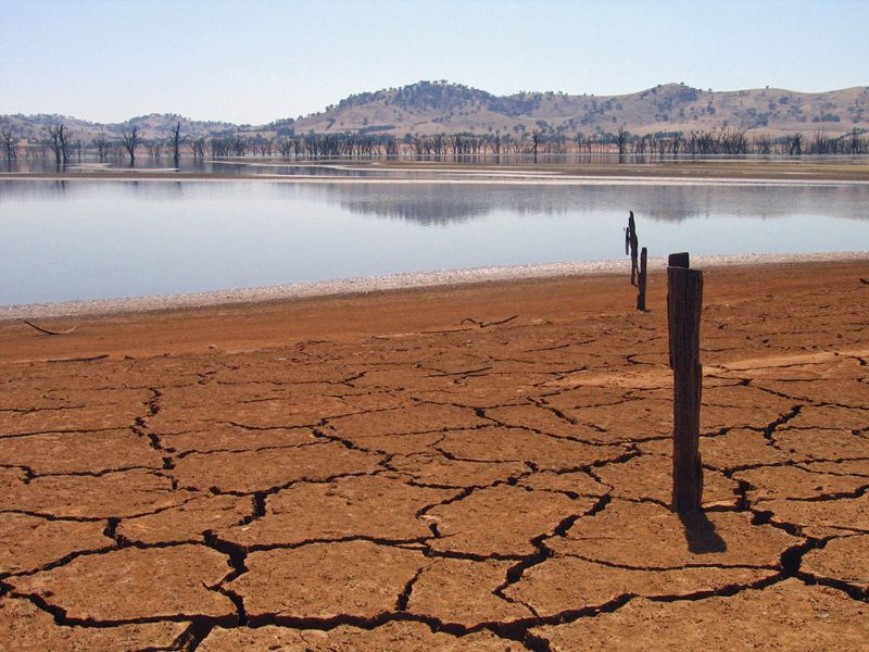 Severe drought has affected the Horn of Africa, displacing millions and devastating livelihoods. Researchers have attributed this natural disaster directly to the increase in climate change.