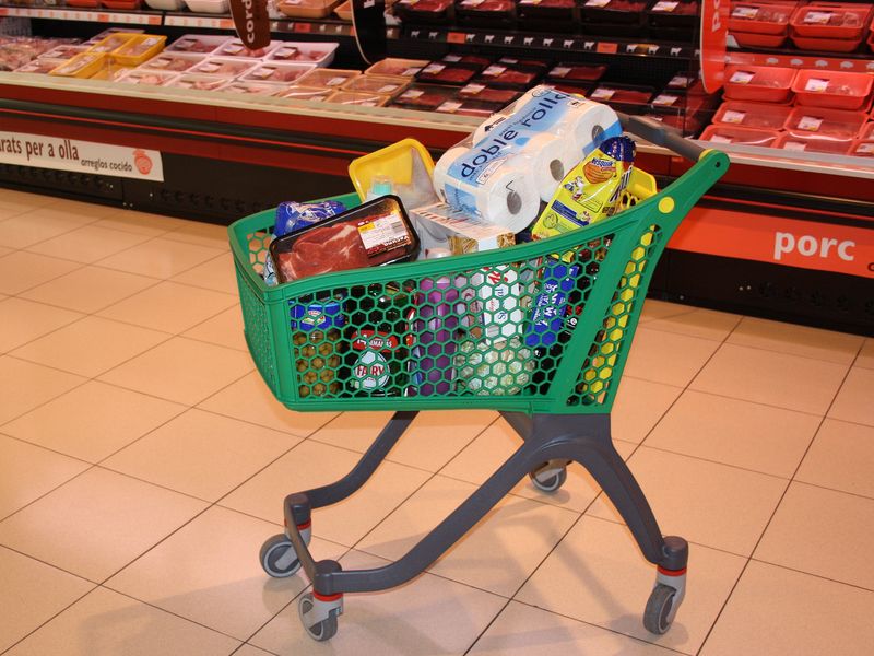 Cash-strapped consumers are opting for cheaper and is often the case, less environmentally-friendly alternative goods than paying a premium for sustainability.