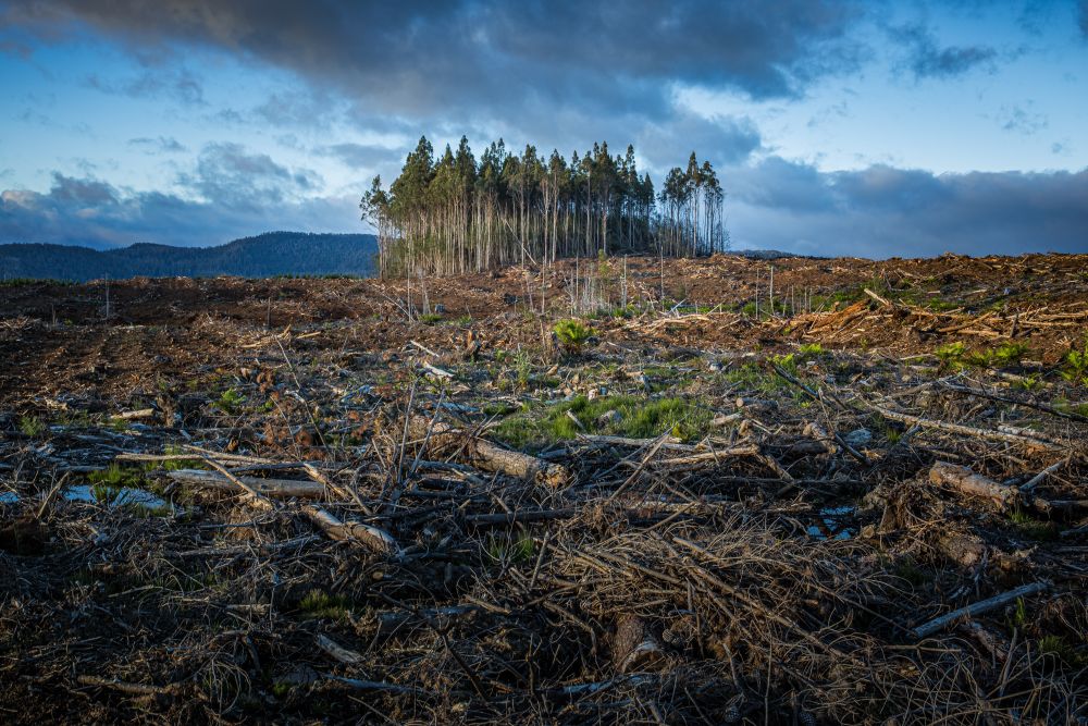 UK Report Outlines Key Priorities for Climate Change Adaptation