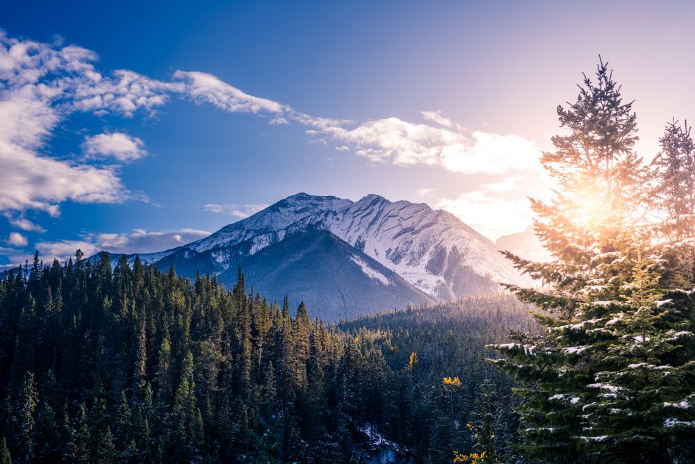 Canada pledges over $1 to protect nature and wildlife - Climate Action