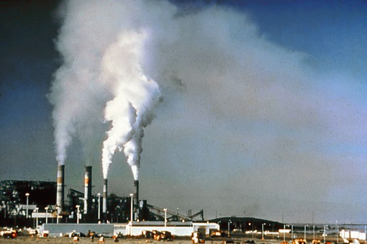 The OECD has today warned that global emissions could double by 2050 unless urgent action is taken.