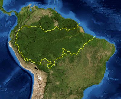 The amazon is a biodiversity hotspot