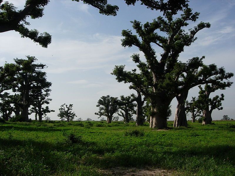 Senegal is the furthest along in the project
