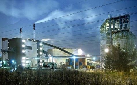 The IIED has warned of the growing purchase of land in developing countries to meet the demands of cleaner energy from biomass.