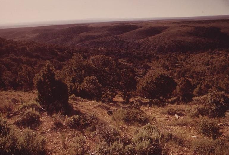 Dryland ecosystems like this are particularly under threat
