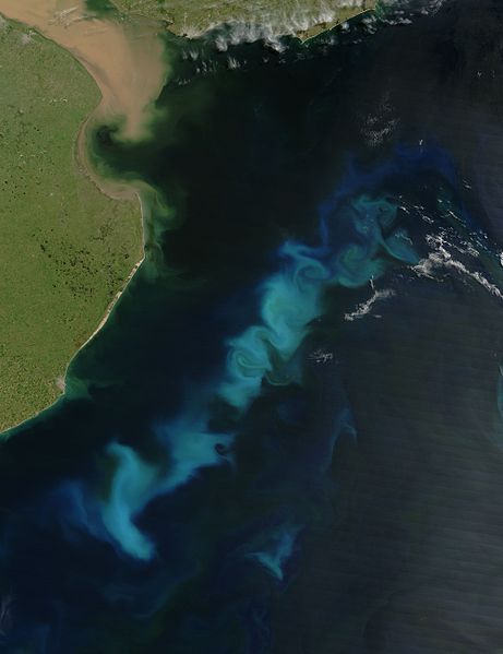 Iron fertilisation is one possible step in geo-engineering