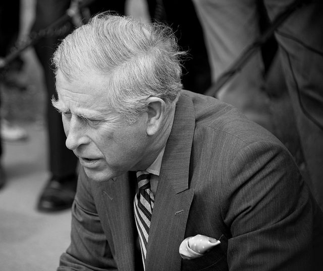Prince Charles has called for world leaders to act before its too late at this week's Earth Summit.
