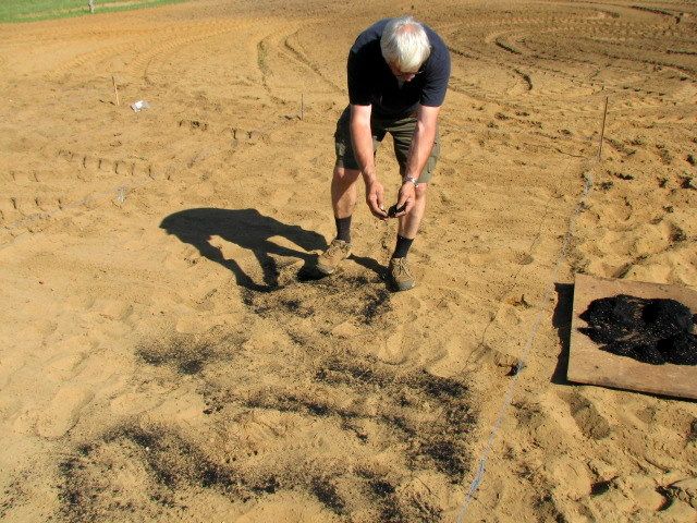 Scattering biochar