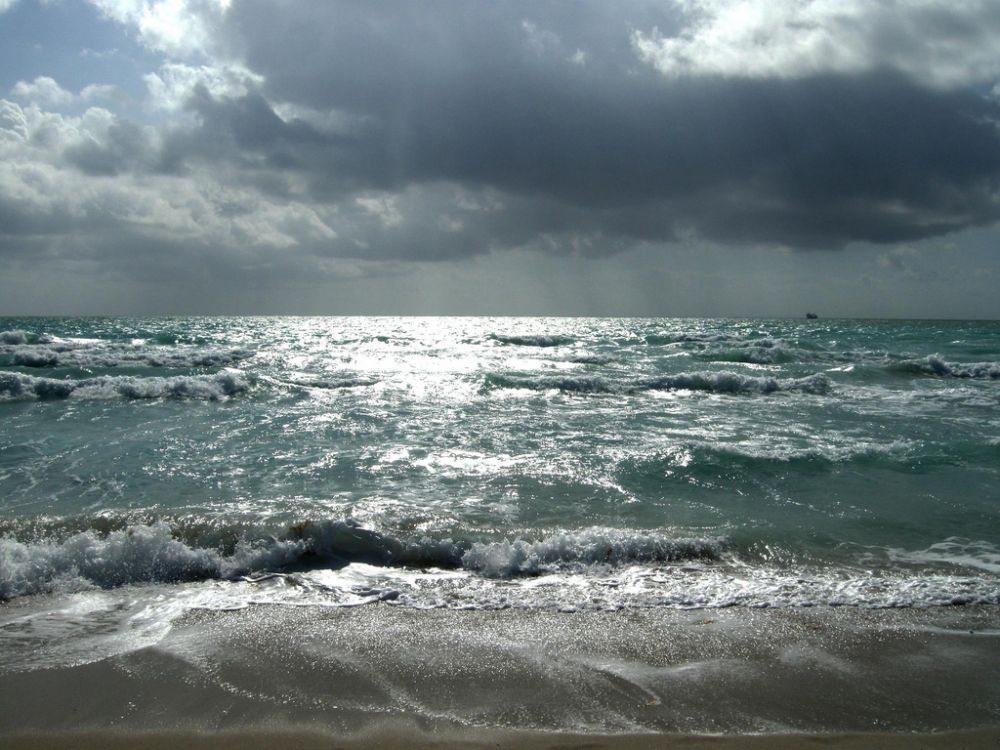 The state of our oceans are in sharp decline experts warn
