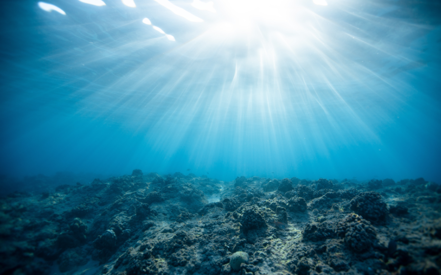 New report argues oceans can be restored by 2050 - Climate Action